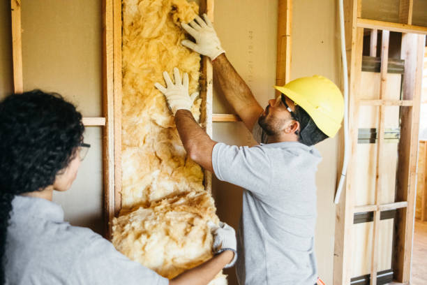 Best Commercial Insulation Services  in East Valley, NV